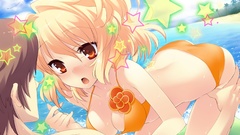 Visual novels flyable heart