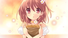 Visual novels flyable heart