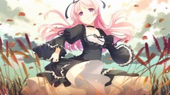 Visual novels H2SO4 (Illustrator)