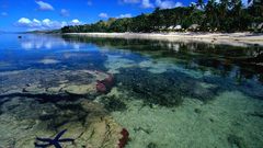 Viti levu Aquarium and
