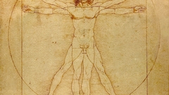 Vitruvian Man Leonardo da