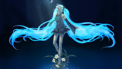 Vocaloid hatsune miku aqua
