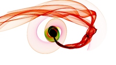 Vortex have More and