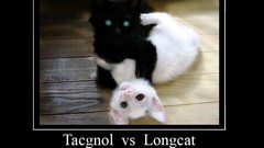 Vs Longcat Tacgnol