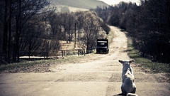 Waiting high Resolution jaro