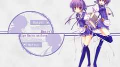 Waitress nanao naru kokonobi satou natsuki thigh highs