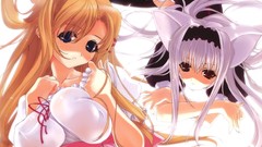 Waitress seifuku nekomimi animal ears rin scans Ayane erect 