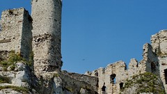 Wall Aircraft ruins Poland Castles Medieval Ogrodzeniec