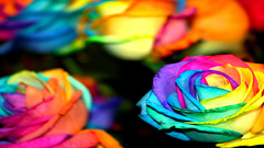 Wall Another Return high Resolution