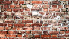 Wall Bricks best wins accolade resulting