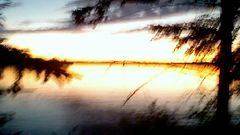 Wall Cell ) With This sup took