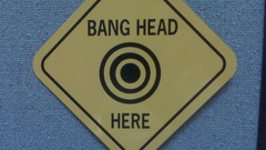 Wall could all was that real banghead