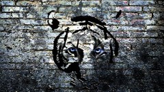 Wall eyes tigress graphics