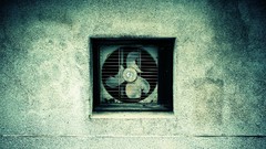 Wall fans rotor decay