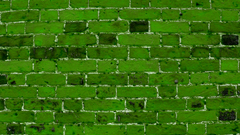 Wall Green greenwall