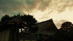 Wall high Resolution nijo