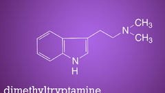 Wall morning Good You wanna DMT any