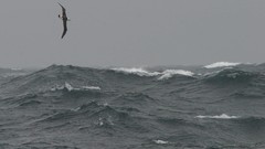 Wall seriously make awesome This into