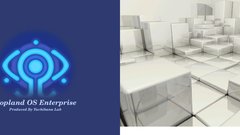 Wall The copy were why? res