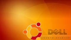 Wall ubuntu dell