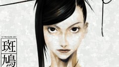 Wall video games ikaruga