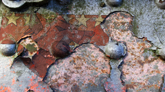 Wall wolf copy papers clan MechWarrior have anyone