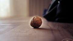 Walnuts GreenPictures