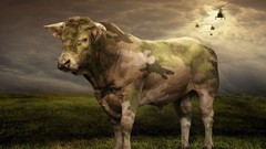 War hide funny camouflage Bull fun cattle