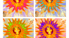 Warhol anemone web high