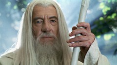 Warriors mage Gandalf Wizards Ian McKellen Gandalf The White 