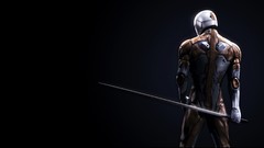 Warriors Swords helmets back view swordman gray fox metal gear 