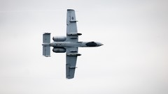 Warthog A-10 Thunderbolt II