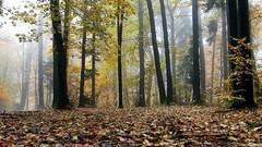 Was weird that post about same