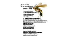 Waspmuthafukka More like This