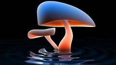Water abstract mushrooms Plants