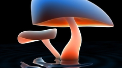 Water abstract mushrooms ripples