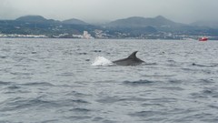 Water Azores cities skies