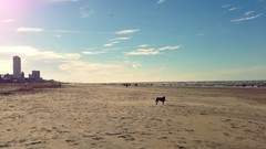 Water Beaches suns Zandvoort