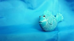Water blue fish