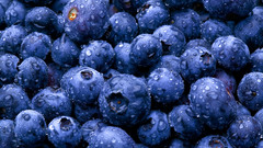 Water blue fruits water