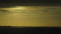 Water Bridges sepia Florida