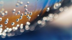 Water bubbles water drops