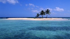 Water coconut belize