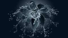 water drops water Koloskov liquid Flowers digital art