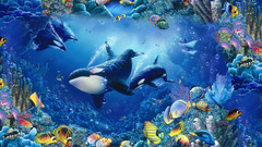 Water fish killer whales