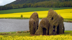 Water Flowers fields hut