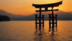 Water Japan sunlight torii