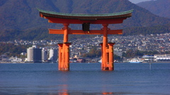 Water Japan torii cities