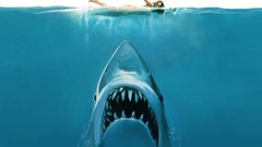 Water Jaws Sharks funny swimming concept art