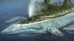 Water Landscapes nature Islands